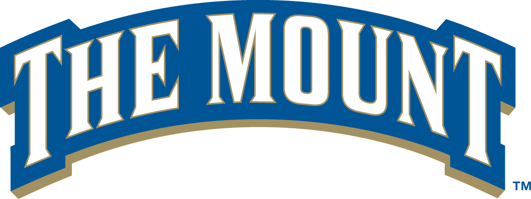 Mount St. Marys Mountaineers 2004-Pres Wordmark Logo 01 iron on paper